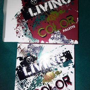 Living in Color eyeshadow palette